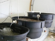 The Tank09-filtering system